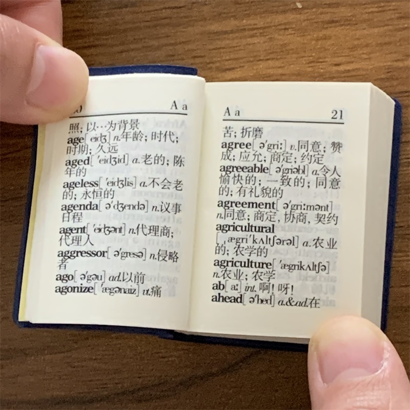 英汉小词典 [正版]英汉小词典字典 小小口袋丛书 微型国学 吉林文史出版萌礼物迷你 共602页 张立杰 主编 迷你经典国高清大图