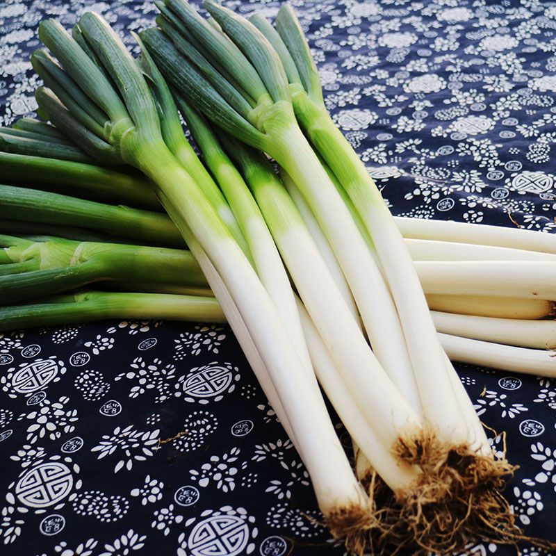 湛航大葱批发山东铁杆大葱新鲜蔬菜本地生吃香葱绿葱