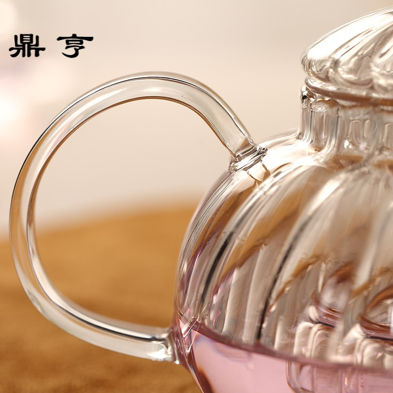 鼎亨茶壶玻璃过滤透明功夫耐热水果花茶普洱煮咖啡特价创意莲花
