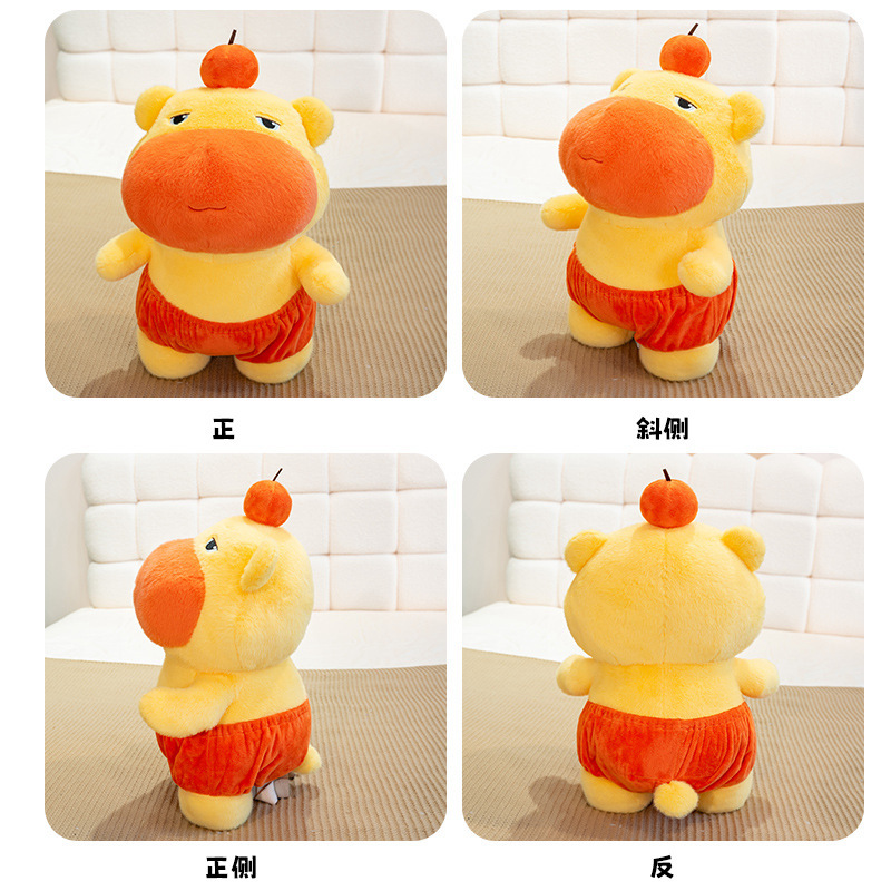 水豚噜噜高清大图