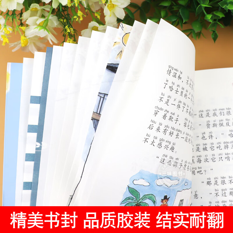豆蔻镇的居民和强盗注音版近母语经典童书拼音儿童文学典藏书系8-9-10岁一二三四年级小学生课外阅读书 注音版豆蔻镇的居民高清大图