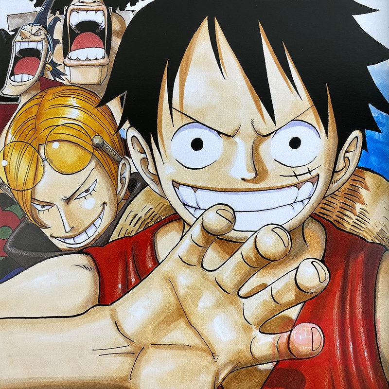 [正版]尾田荣一郎画集 COLOR WALK 5 鲨鱼 集英社漫画书海贼王one piece人物场景中精品海报周边画册/高清大图