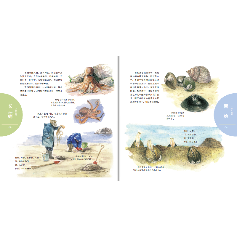 醉染图书身边生动的自然课-海滨生物世界9787557852580高清大图