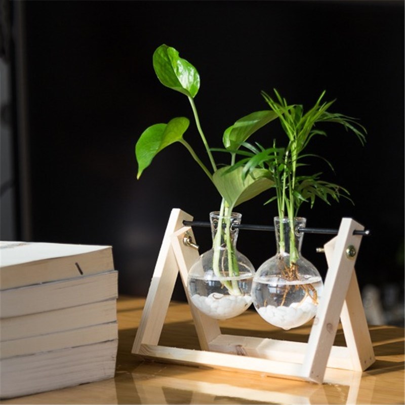 回固创意水培植物绿萝办公室内桌面小清新绿植盆栽花卉玻璃瓶水培摆件