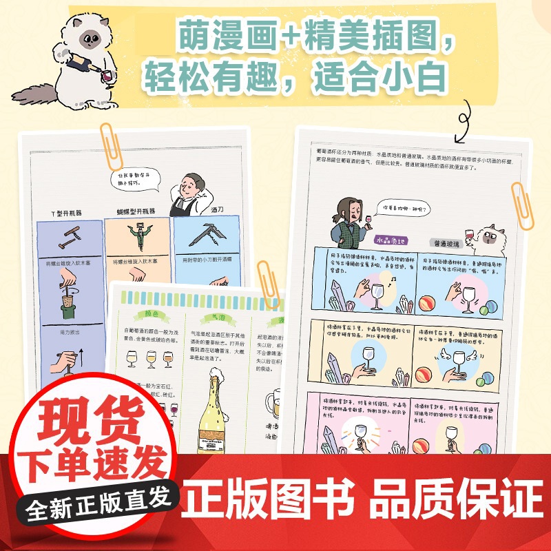 如何假装懂葡萄酒 葡萄酒漫画小百科 品酒红酒知识漫画科普趣味 葡萄酒小白基础知识入门教程高清大图