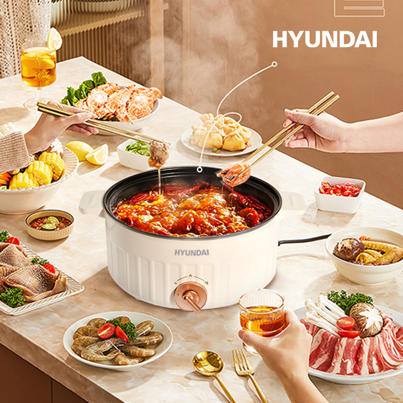 HYUNDAI 2L多功能电火锅TS-20D高清大图