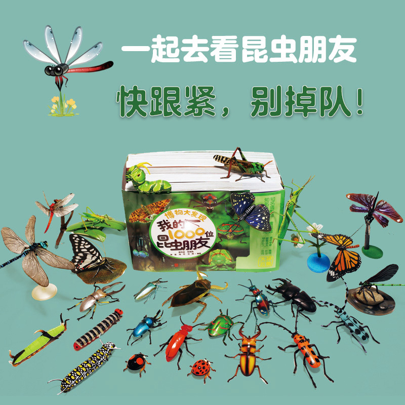 我的1000位昆虫朋友[全5册] [正版]博物大发现:我的1000位昆虫朋友全5册 带孩子去野外探索昆虫世界JYXX能揣