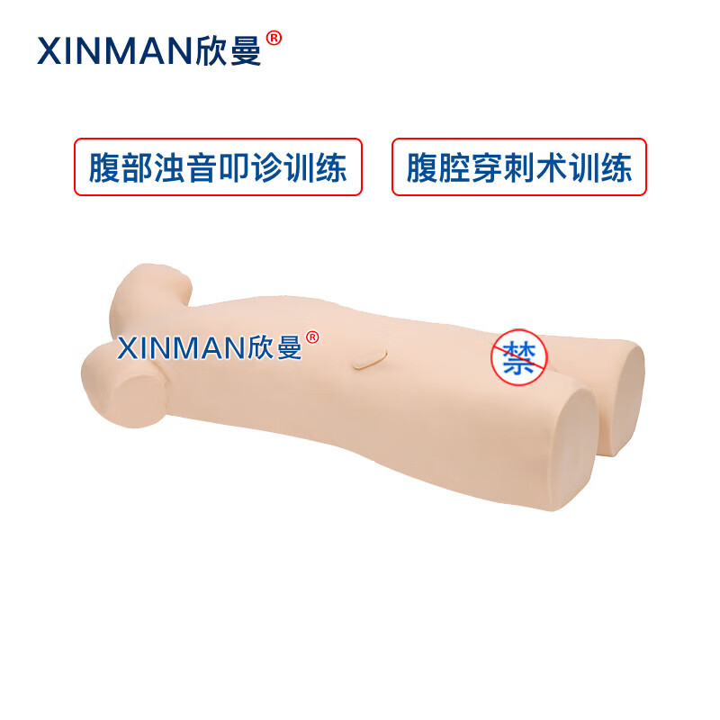 欣曼科教 腹部移动性浊叩诊与腹腔穿刺训练模型 腹腔穿刺模拟人XM-1020高清大图