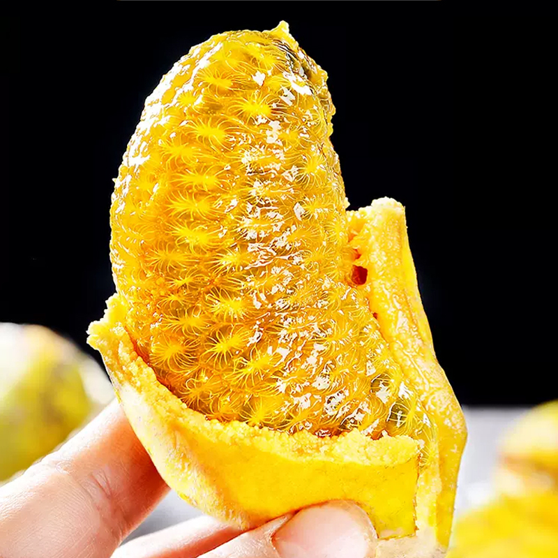[熊猫鸟]新鲜九月黄 带箱5斤 大果 单果3-5两 当季现摘罕见鲜果牛卵坨八月瓜木通果特产