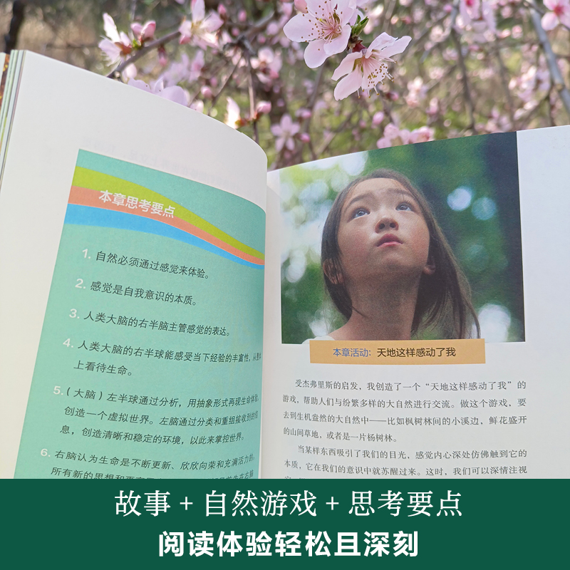 [正版]心流学习法: 在深度自然游戏中,唤醒身心潜能 (自然教育之父约瑟夫里程碑力作!与自然合一,唤醒全部身心能量,高清大图