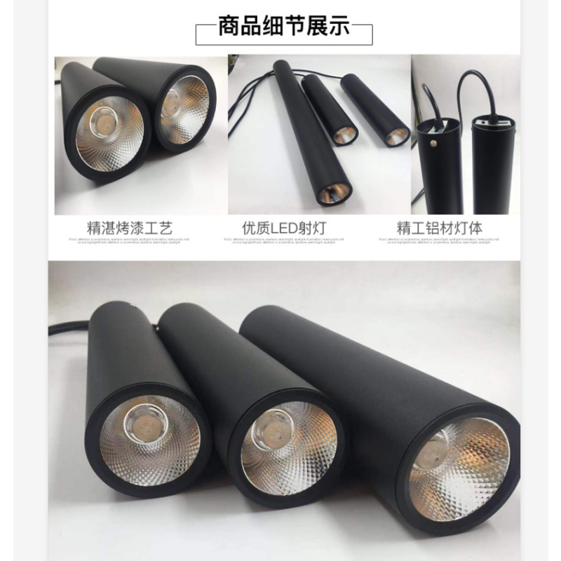 金陵乐信 LED灯 BD-3001 6000K-6500K(单位:个)