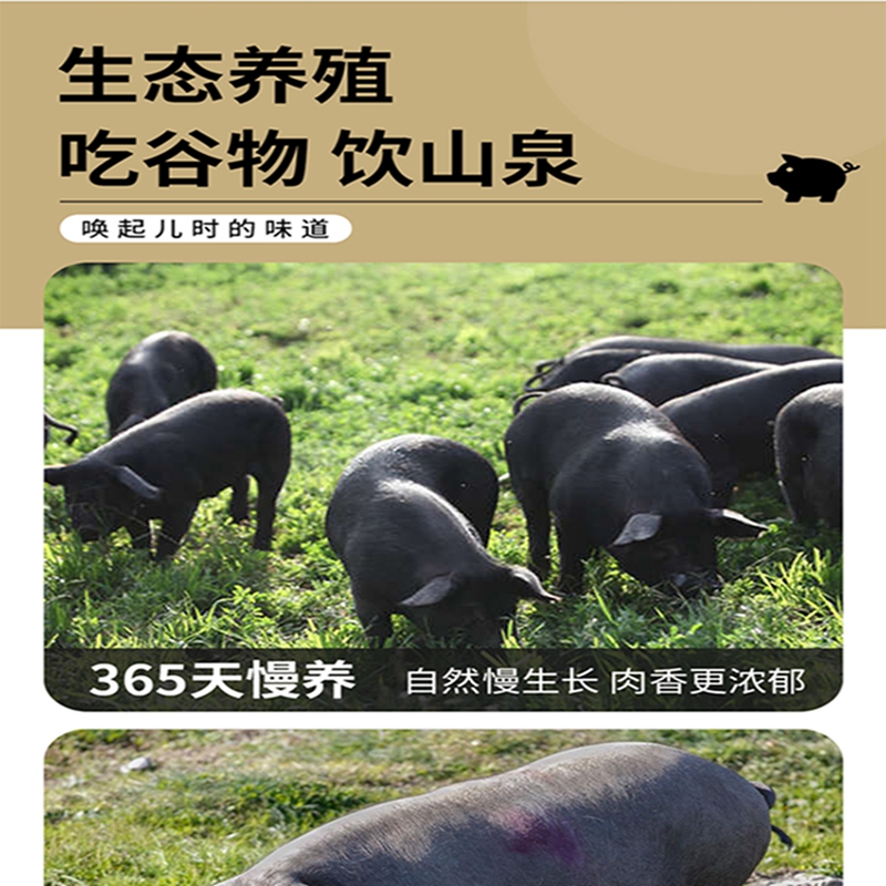 首鲜码头-黑猪肉C款(五花肉*1 精肋排*1 后腿肉* 前腿肉*1 里脊肉*1 猪棒骨*1)3000g高清大图