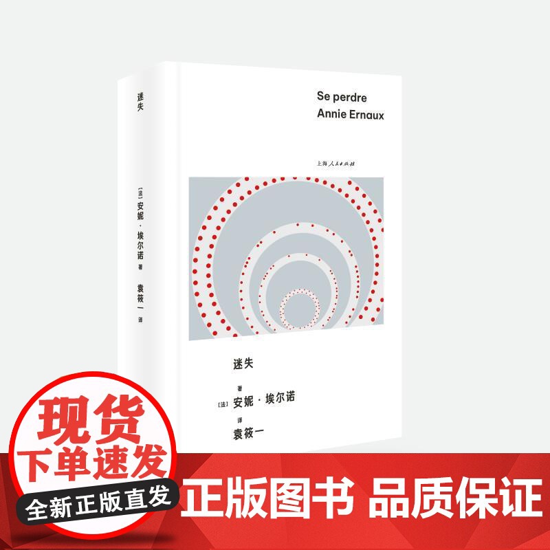 迷失 安妮埃尔诺作品第三辑上海人民出版社社会外国文学记忆社会学埃尔诺诺贝尔文学奖女性主义小说高清大图