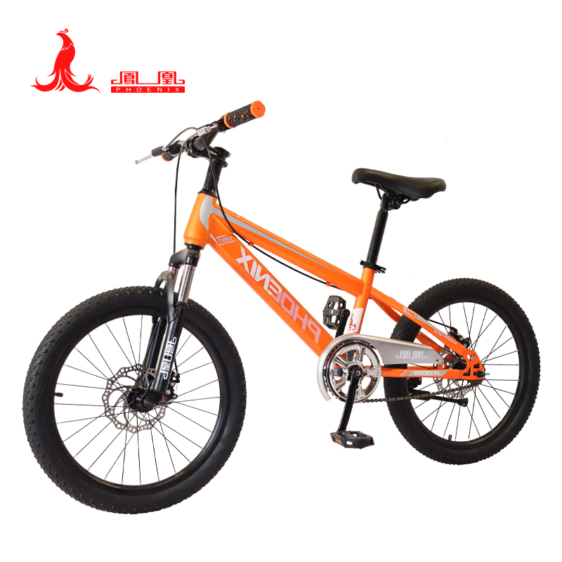 凤凰(PHOENIX) 20寸学生自行车-贝塔 TT-20 (辐条轮)橘
