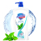 舒肤佳(Safeguard)薄荷冰怡舒爽沐浴露720ml泡澡 宝洁出品(新旧包装随机货)