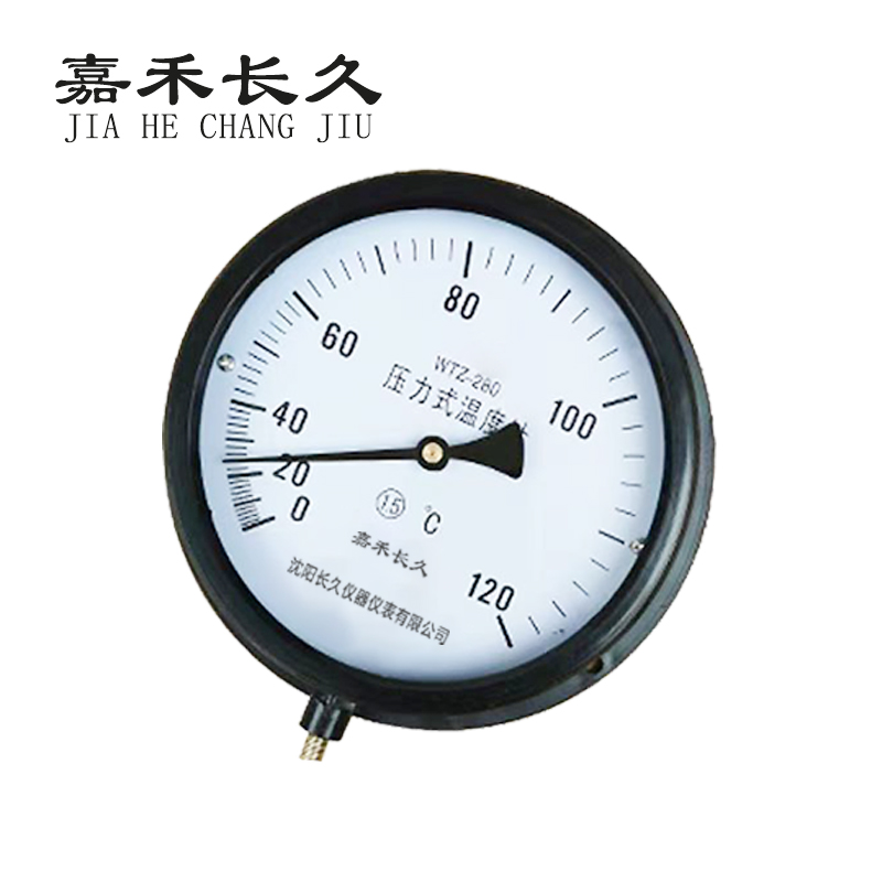 嘉禾长久 压力式温度计 WTZ280 120度 10M线长 个高清大图