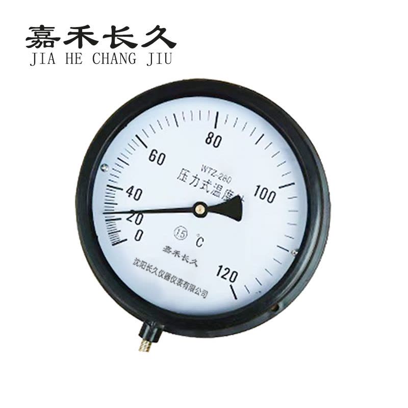 嘉禾长久 压力式温度计 WTZ280 120度 10M线长 个图片