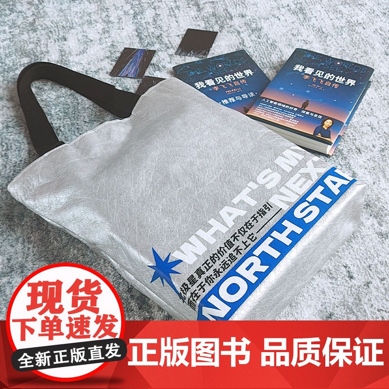 我看见的世界NFC有声书电子书套装 李飞飞自传 我看见的世界金句杜邦纸包 防水大容量通勤托特包 中信
