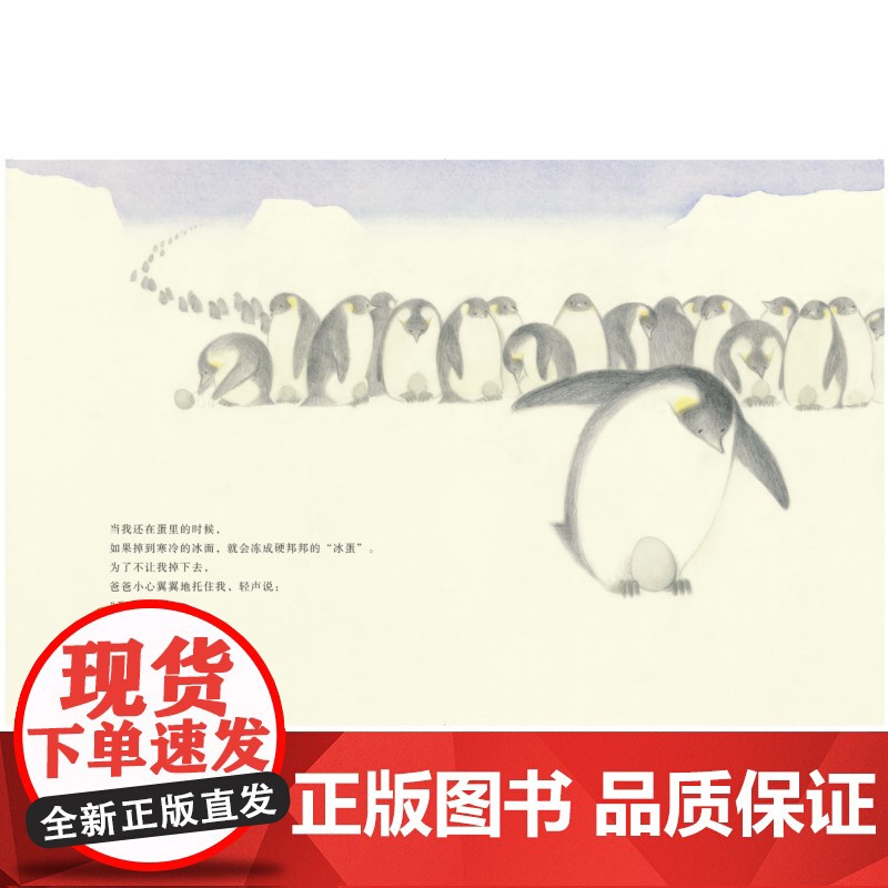 麦田精选图画书 我爱你,爸爸高清大图