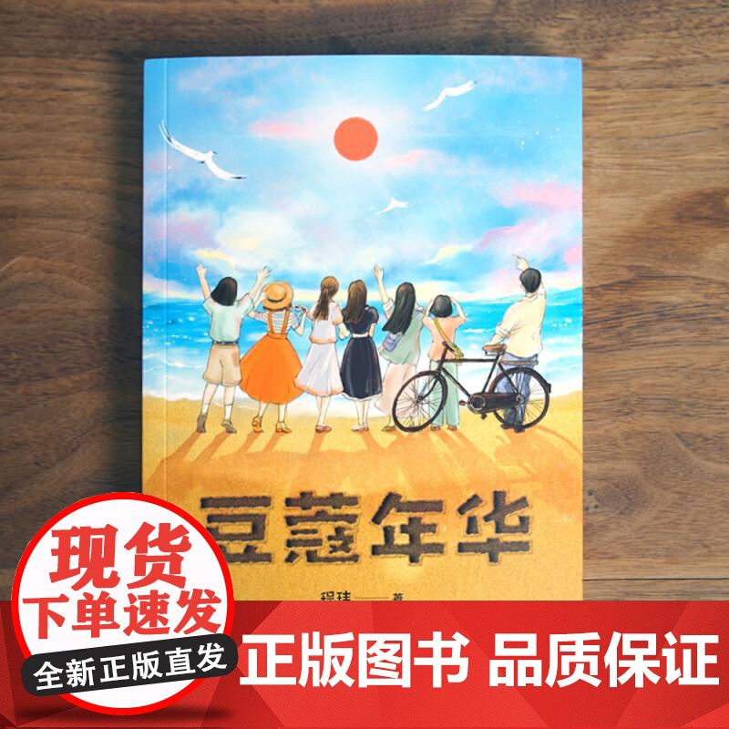 豆蔻年华 程玮江苏凤凰文艺出版社高清大图