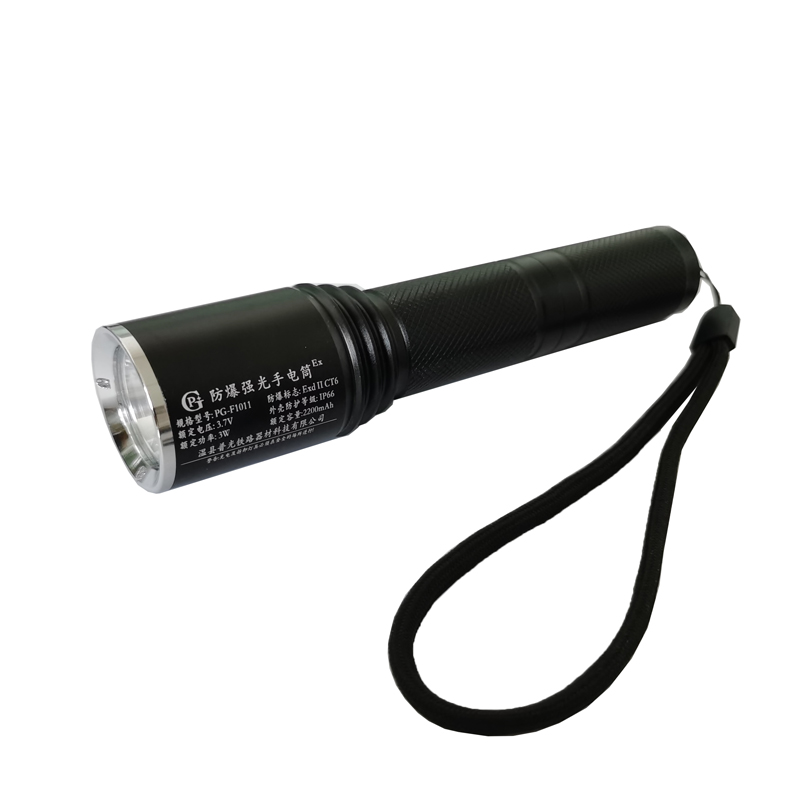 PG 防爆强光手电筒 PG-F1011