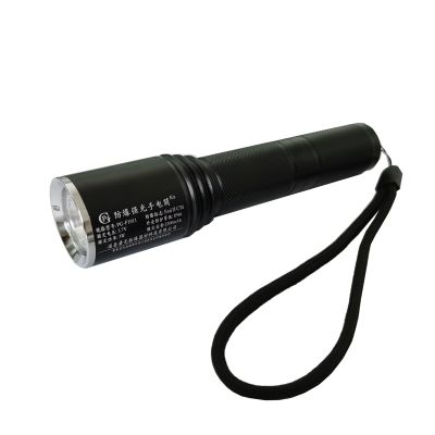 PG 防爆强光手电筒 PG-F1011 /个