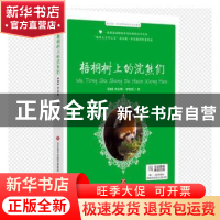 正版 梧桐树上的浣熊们/每天读一点世界动物文学名著 (加)查尔斯·