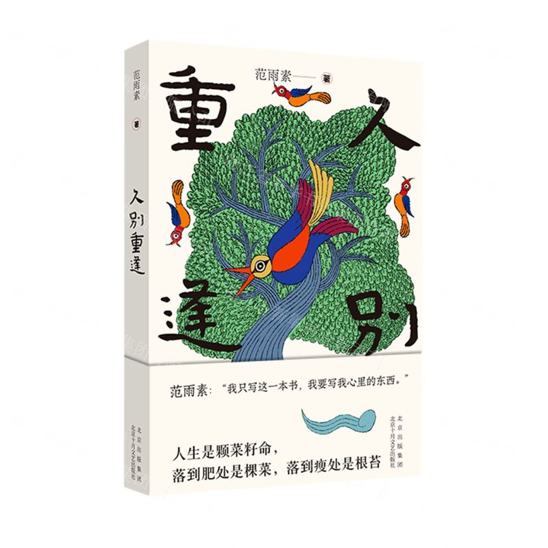 【N】久别重逢-9787530222294