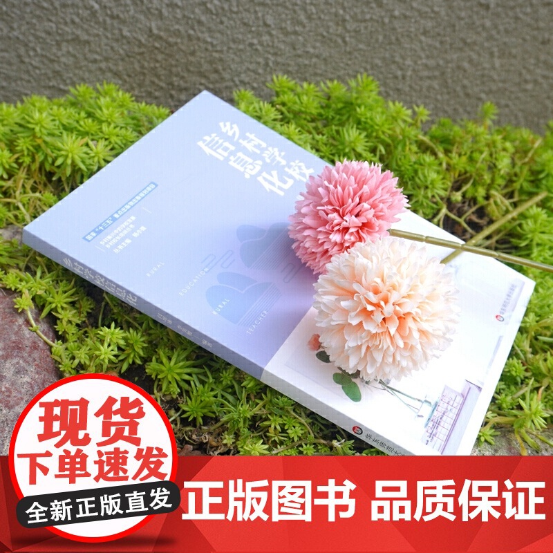 乡村学校信息化(乡村教育培训系列)高清大图