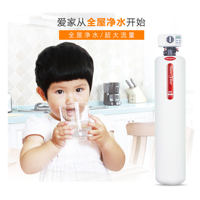 开能(Canature)奔泰净水器家用全屋中央净水机KC06 过滤重金属去余氯大户型用