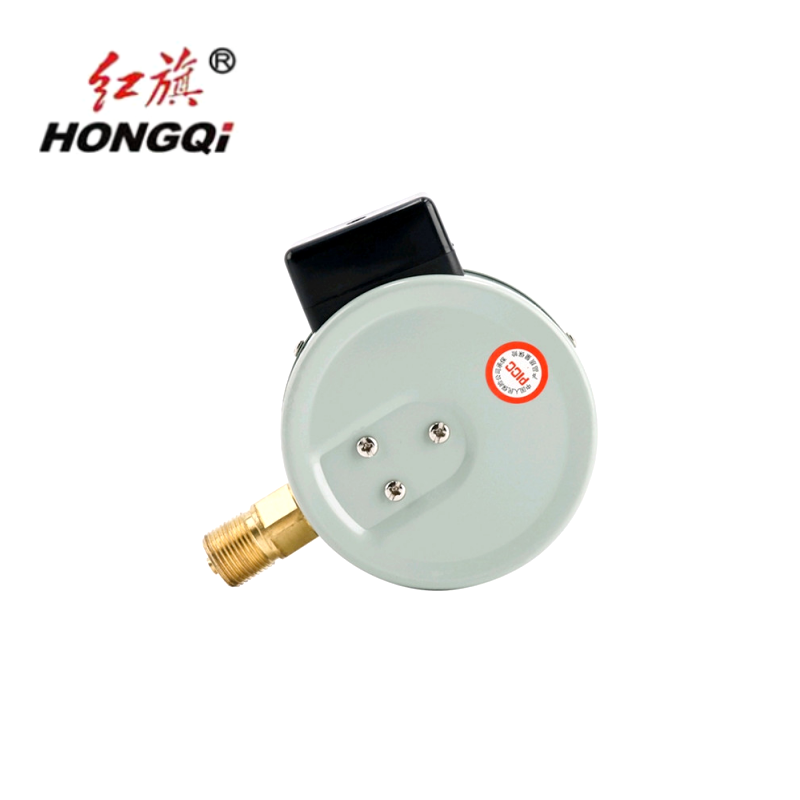 红旗 电接点压力表定制检测款YX60(压力值需备注) 块高清大图