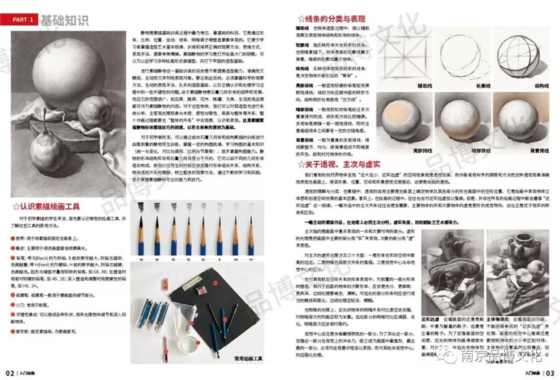 [醉染正版]入门绘画素描静物绘画基础教程 2019品博文化黄枕权著16开结构素描静物范本基础入门水果蔬菜单个组合静物步骤高清大图