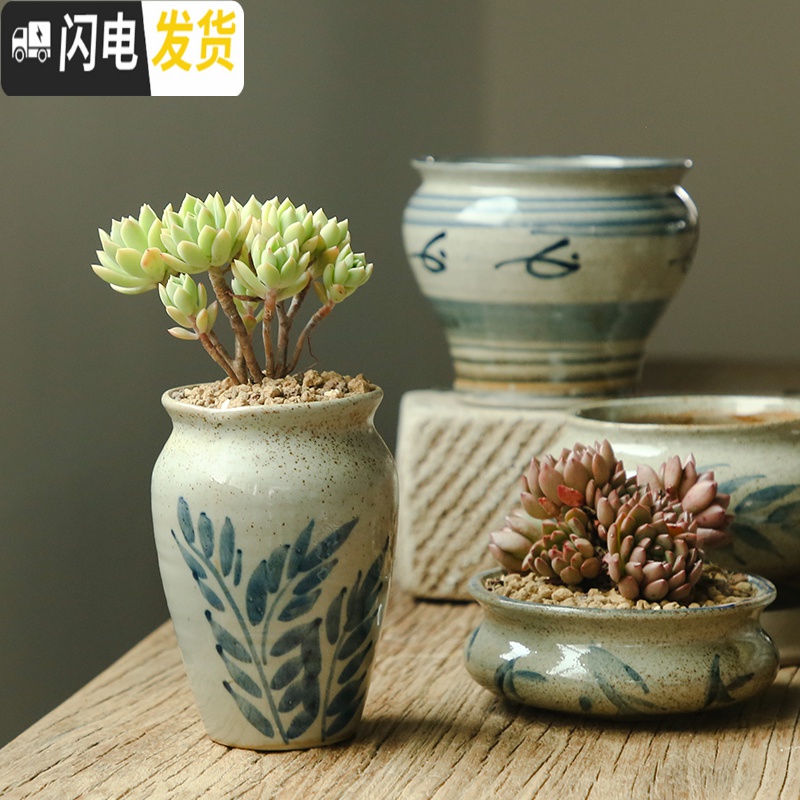 三维工匠多肉花盆大口径小号手绘青花粗陶组合透气陶瓷景德镇 JDZQH-16 中等花盆容器高清大图
