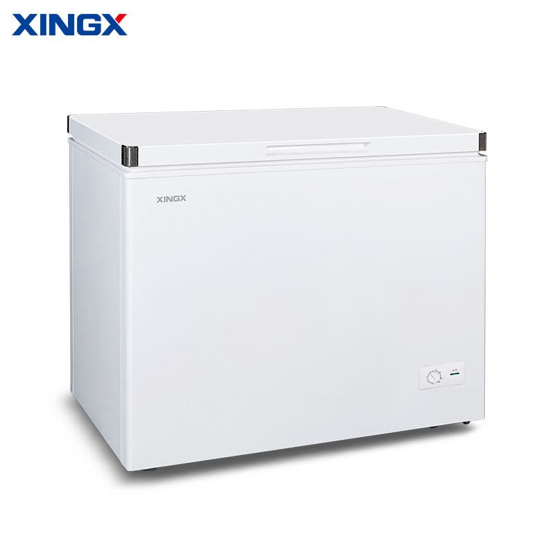 星星(XINGX)BD/BC-303GC冰柜家用一级能效小型商用速冻冷柜卧式小冰箱自动减霜80%冷藏冷冻单温柜图片