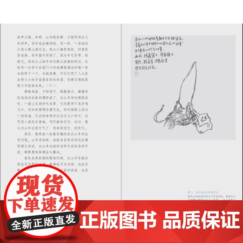自我的平行诗意 王璜生 著 随笔、艺术、家乡、美术馆 走进艺术家王璜生的多彩人生与艺术世界高清大图