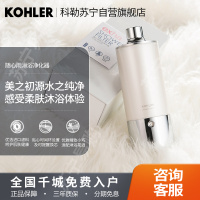 科勒随心雨淋浴净化器沐浴花洒花洒过滤器72914T去杂质