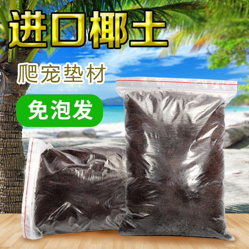 椰土蜘蛛乌龟过冬装备沙子角蛙专用泥用品冬天冬眠沙小房子恒温箱高清大图
