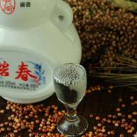 毕节五年精品碧春酒高度酒酱香型坤沙白酒50度纯粮食口粮酒特价礼盒500ml单瓶装