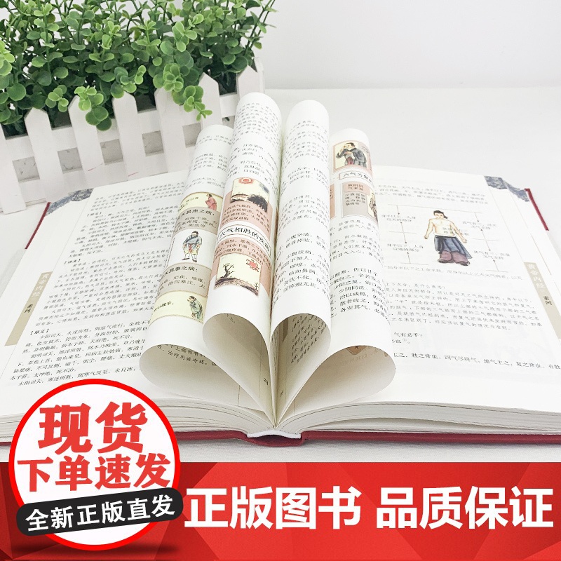 抖音同款黄帝内经本草纲目易经[全3册]正版原文白话文版图解皇帝内经全注全译彩图中医基础理论十二经脉揭秘与应用养生书籍高清大图