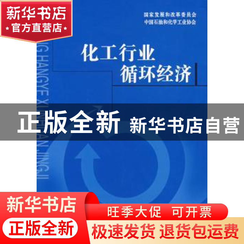 正版 化工行业循环经济 赵家荣 人民出版社 9787010066134 书籍高清大图