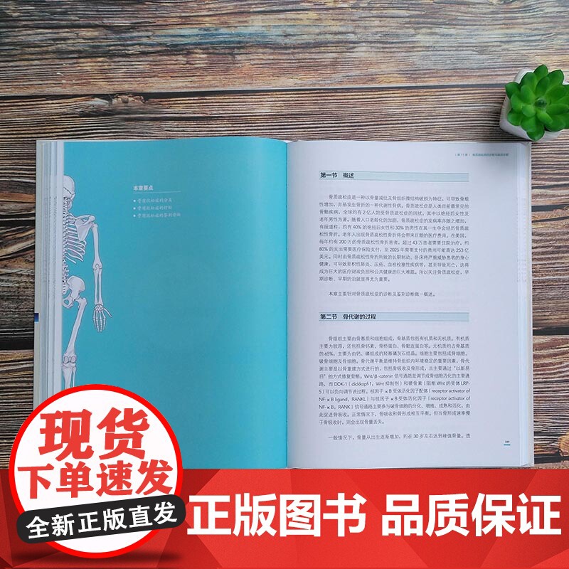[]积水潭医院创伤骨科技术—骨质疏松(“十三五”重点图书出版规划项目,主编 贺良 龚晓峰)高清大图