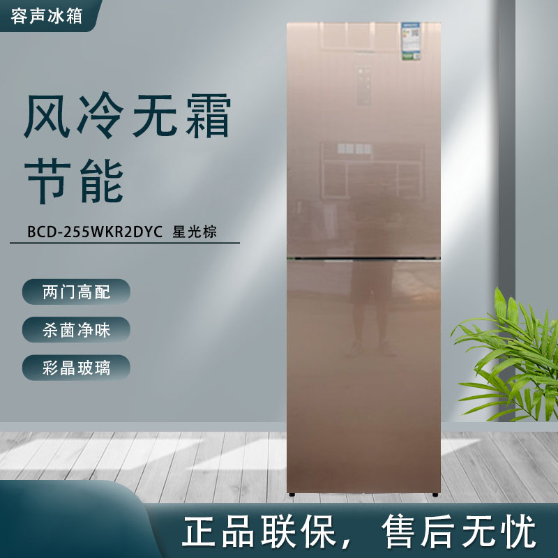 Ronshen/容声 255升 风冷无霜两门家用双门节能玻璃冰箱