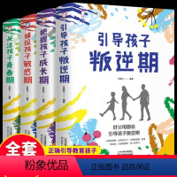 [正版]全4册关注孩子青春期引导孩子叛逆期捕捉孩子的敏感期把握孩子成长期好妈妈胜过好老师育儿书籍正面管教教育孩子的书籍