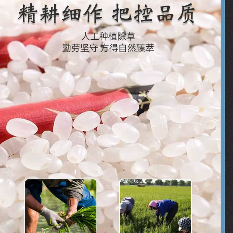 邻家饭香ZCHA168 五常大米 核心产区 10kg/袋高清大图