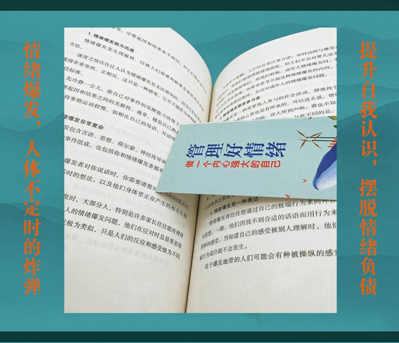 [正版] 管理好情绪做一个内心强大的自己 管理情绪修身养性情绪心理学 书籍高清大图