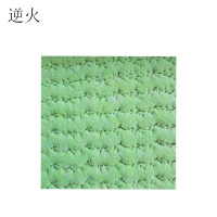 逆火 NH-DTPGL 1*1m 纤维地毯1块/平方米 (计价单位：平方米)苹果绿