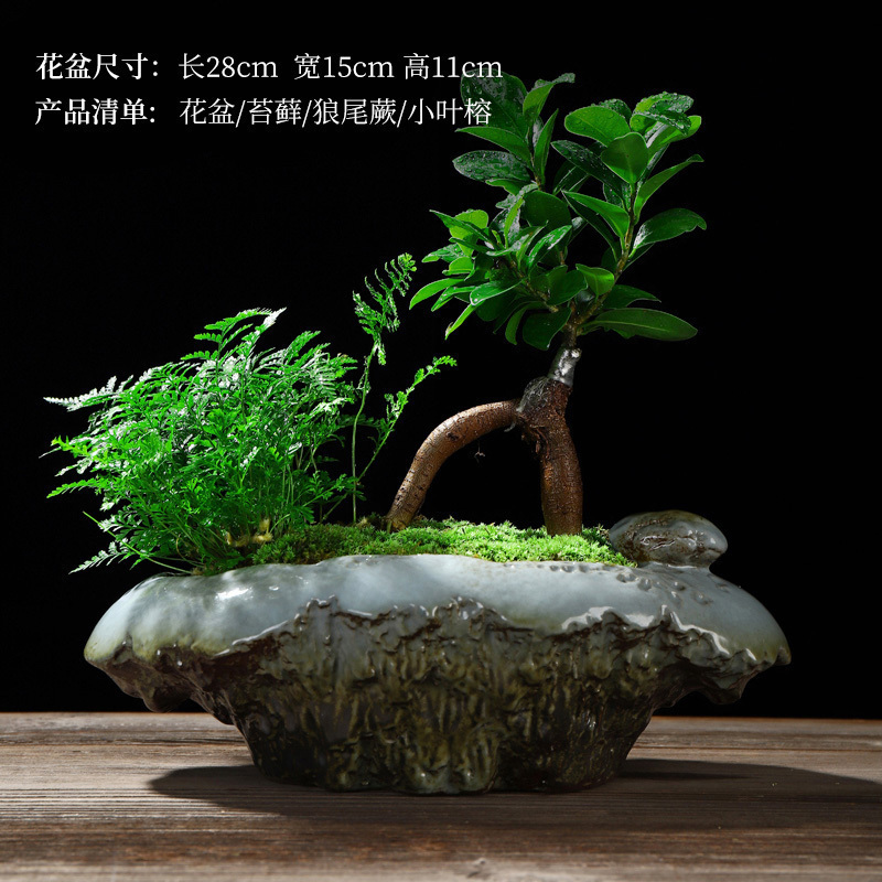 美帮汇创禅意新中式哥窑陶瓷花盆小叶榕树盆栽透气花器家用室内净化空气高清大图