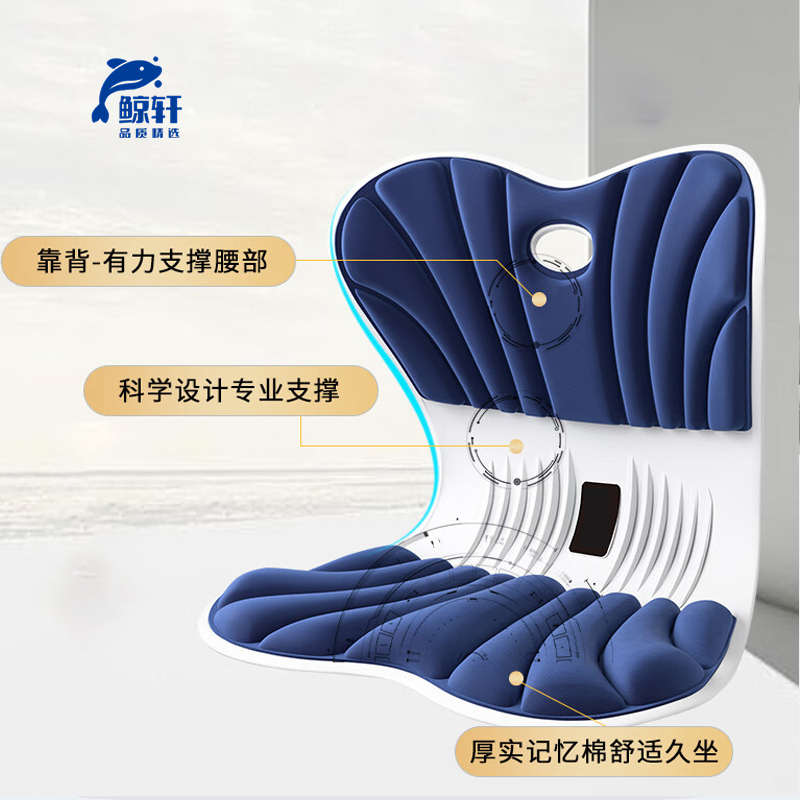 鲸轩 JX-ZD300 靠垫 1个/件 (计价单位:个)蓝白色高清大图