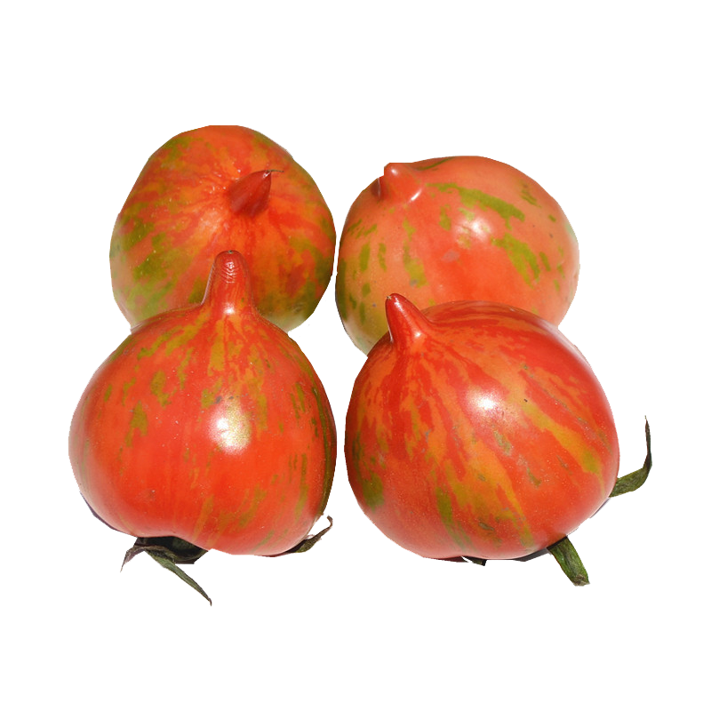 东北花皮球柿子 东北特产 新鲜水果 农家小柿子 小番茄 2kg