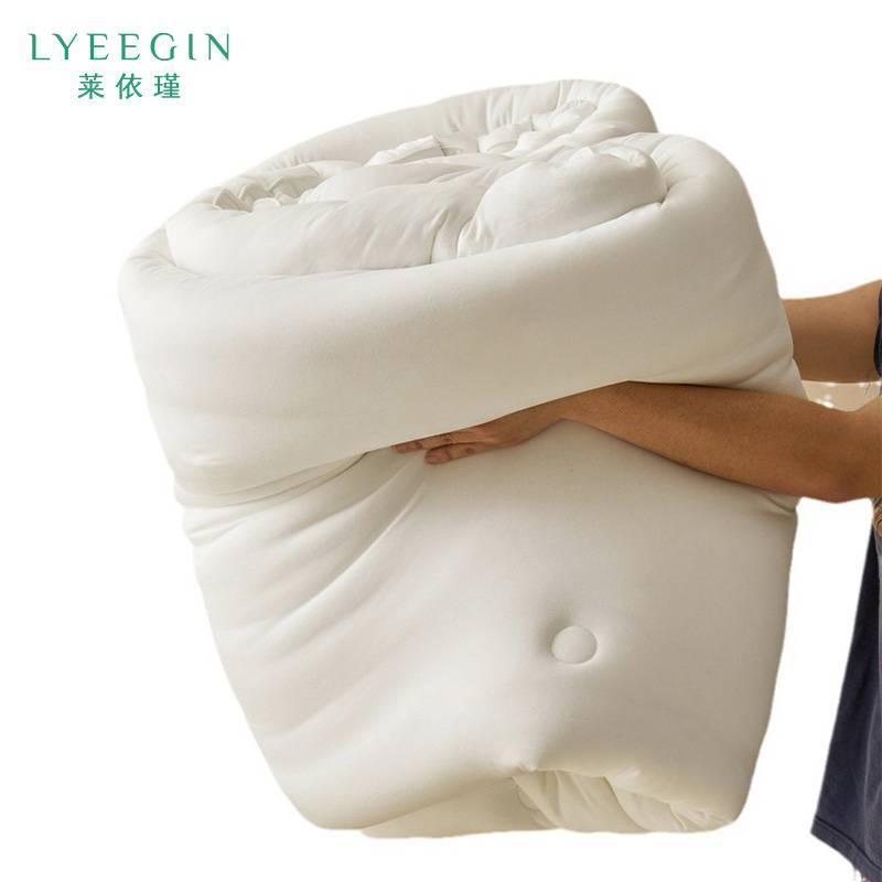 莱依瑾LYEEGIN 被子 A类大豆被 150*200cm5斤 张高清大图
